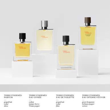 HERMÈS Terre d'Hermès, Eau de Toilette, 50ml