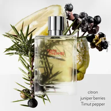 HERMÈS Terre d'Hermès, Eau Givrée, Eau de Parfum, 100ml