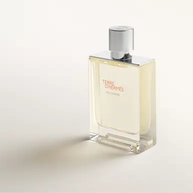 HERMÈS Terre d'Hermès, Eau Givrée, Eau de Parfum, 100ml