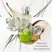 HERMÈS Un Jardin Sur le Toit, Eau de Toilette, 50ml