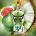 Jean Paul Gaultier Le Beau Paradise Garden Eau de Parfum 125mL