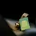 ECOYA French Pear Car Diffuser Refill