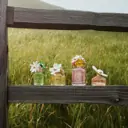 Marc Jacobs Daisy Wild Eau So Intense Eau de Parfum 50ml