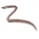 Jane Iredale PureBrow Brow Powder - Medium Brown