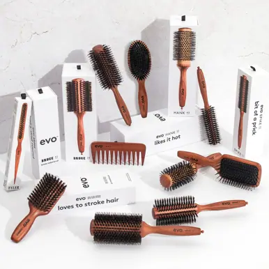 evo Pete Ionic Paddle Brush