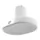 Qure Skincare Shower Filter White