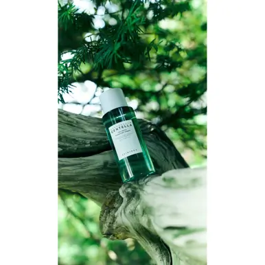 SKIN1004 Madagascar Centella Tea-Trica Purifying Toner 210ml
