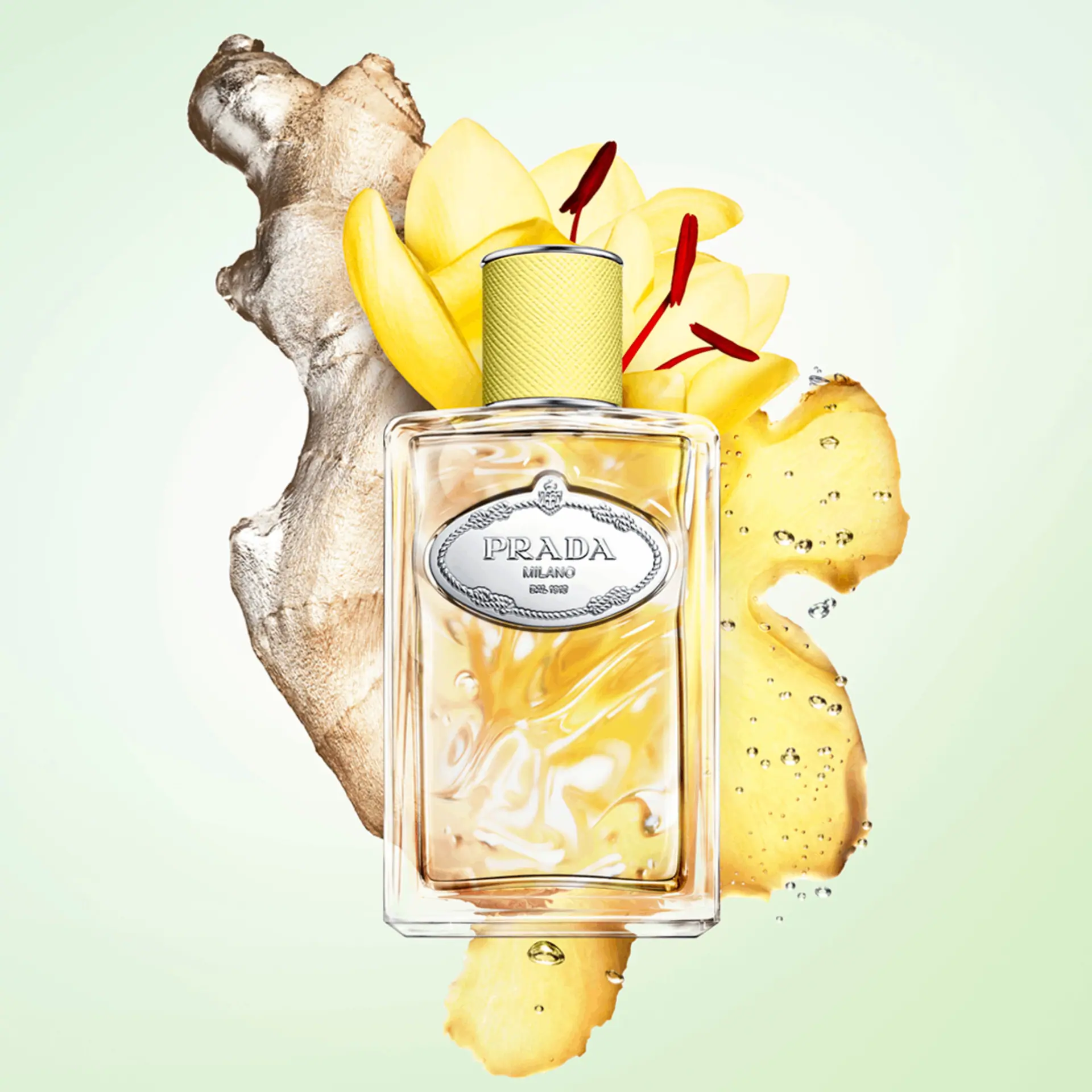 Prada Infusion De Gingembre Eau De Parfum 100ml