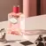 Prada Infusion Rhubarbe Eau De Parfum 100ml