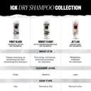 IGK DIRECT FLIGHT Dry Shampoo Travel