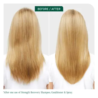 Biolage Strength Recovery Repairing Spray 250ml