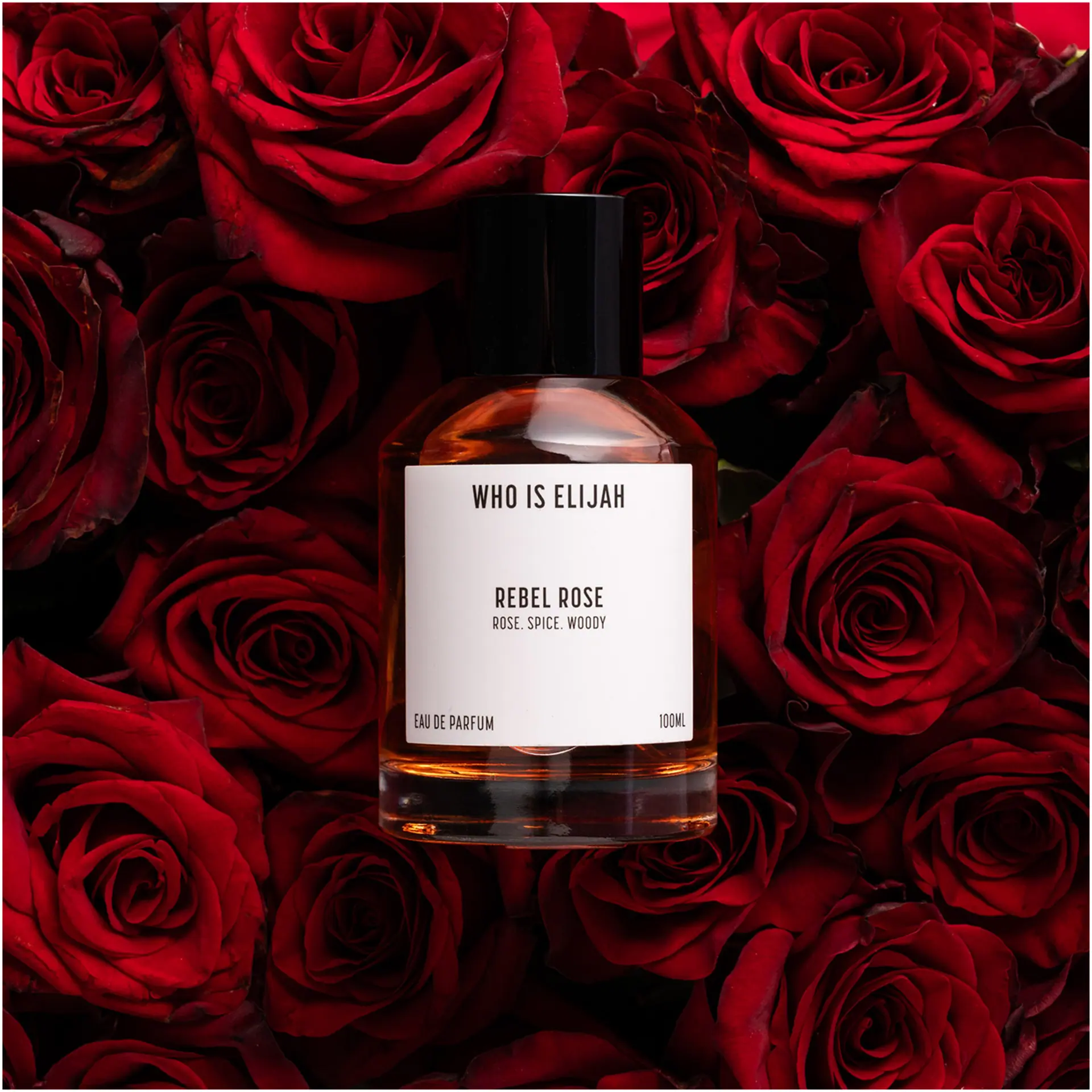 who is elijah REBEL ROSE 100mL