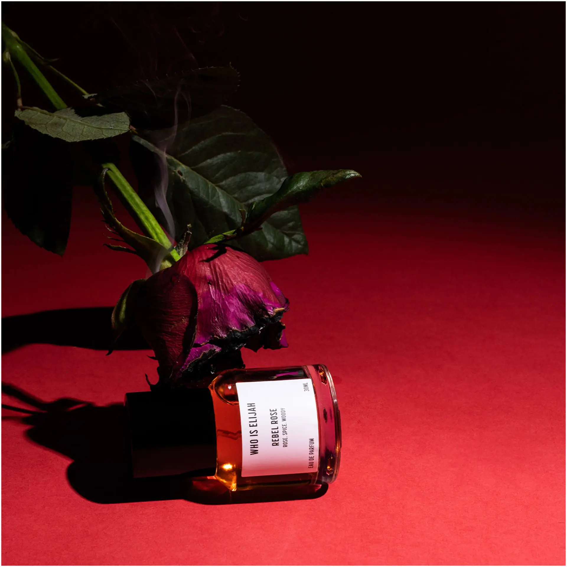 who is elijah REBEL ROSE 50mL