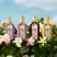 Gucci Flora Gorgeous Gardenia Eau de Parfum Intense 50ml