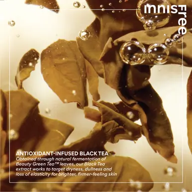 INNISFREE Black Tea Ampoule 30ml