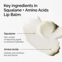 The Ordinary Squalane + Amino Acids Lip Balm