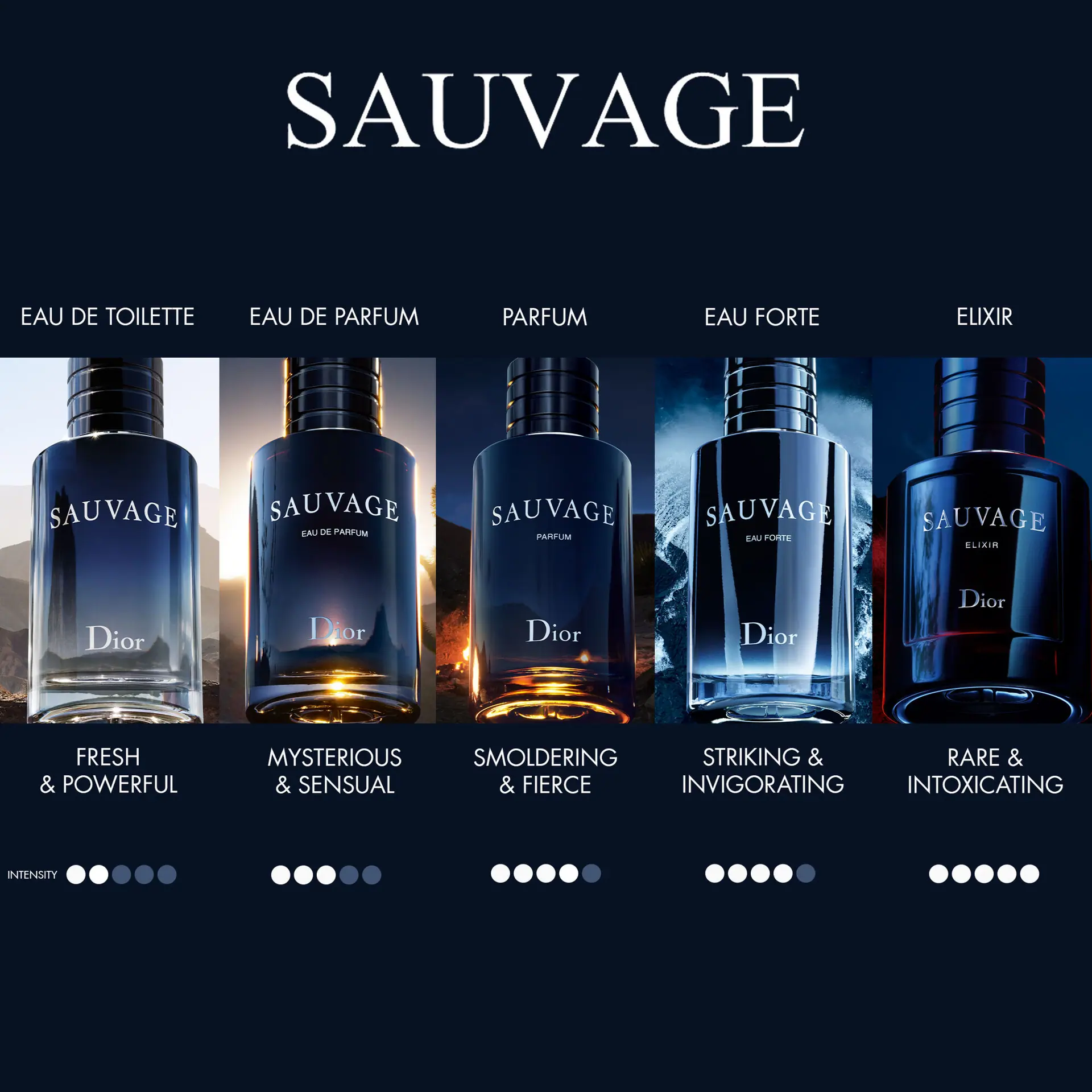 DIOR Sauvage Eau de Parfum 100ml Limited Edition Set