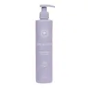 Innersense Organic Beauty Bright Balance Toning Conditioner 300ml