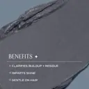 Innersense Organic Beauty Detox Charcoal Hair Mask