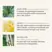 Innersense Organic Beauty I Create Lift Volumizing Foam 