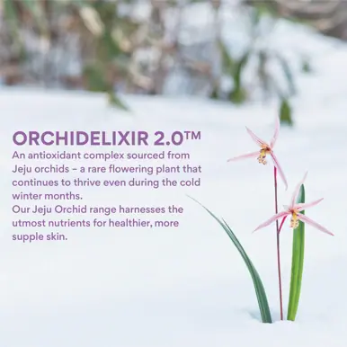 INNISFREE Jeju Orchid Skin 170ml