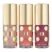 Estée Lauder 3pc Lip Oil Set