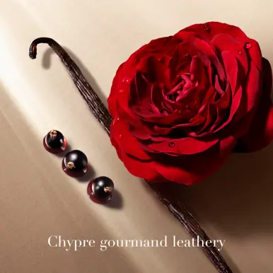 Giorgio Armani Si Parfum 50ml
