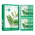 Innisfree Green Tea Energy Mask Set