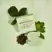 Kitsch Tea Tree & Mint Clarifying Shampoo Bar