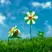 Marc Jacobs Daisy Murakami Green Limited-Edition Eau De Parfum 50Ml
