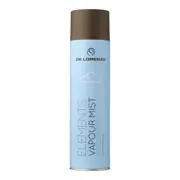 De Lorenzo Elements Vapour Mist Medium Hold Hairspray 400g