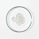 Grown Alchemist Skin Renewal Serum 25ml