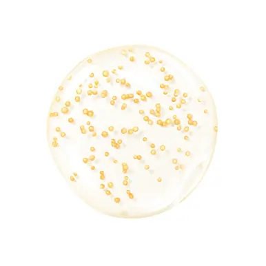 Guerlain Abeille Royale Youth Watery Oil Serum 15ml