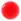 775 Poppy
