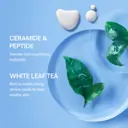 Laneige Daily Hydration Essential Set