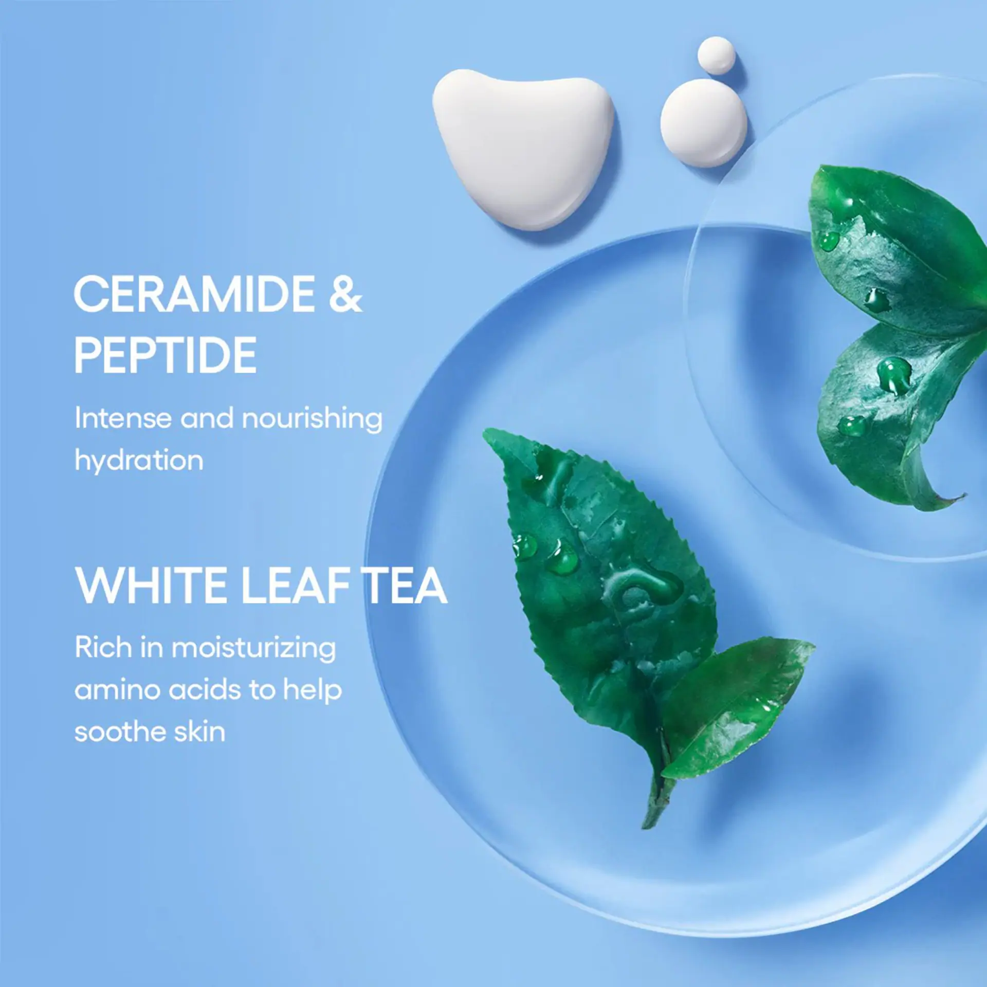 Laneige Daily Hydration Essential Set