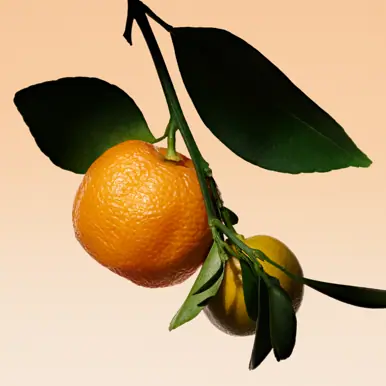 Giorgio Armani Prive Orange Méditerranée EDT 100ml 