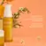 Jurlique Calendula Restorative Treatment Serum 30ml