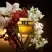 Dolce & Gabanna The One Eau de Parfum Intense 50ml