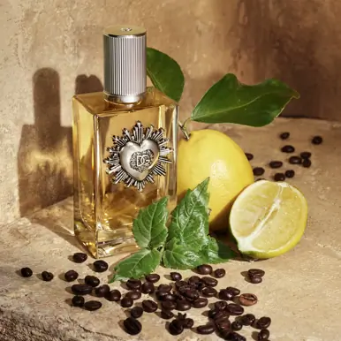 Dolce & Gabbana Devotion Pour Homme Eau de Parfum 50ml