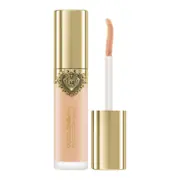 Dolce & Gabbana Everlast Concealer