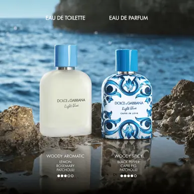 Dolce & Gabbana Light Blue Pour Homme Eau de Toilette 100ml