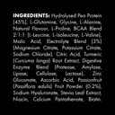WelleCo The HydroProtein Elixir Passionfruit 270g