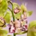 Glasshouse Fragrances 380g Candle - Radiance In Bloom