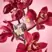 Glasshouse Fragrances 380g Candle - Radiance In Bloom