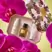 Glasshouse Fragrances Fragrance Gift Set - Kyoto In Bloom