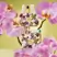 Glasshouse Fragrances Fragrance Gift Set - Kyoto In Bloom