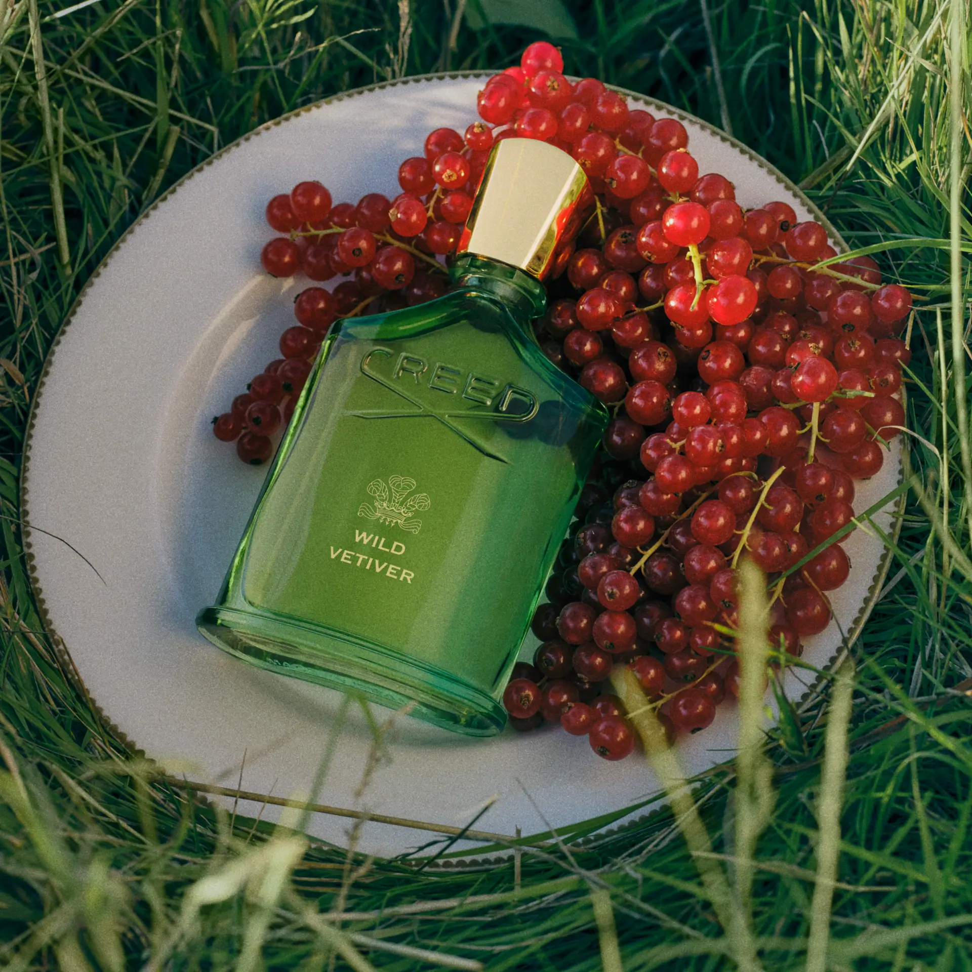 Creed Wild Vetiver 50ml