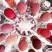 DIOR Addict Glass Lipstick