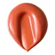 Rom&nd The Juicy Lasting Tint 12 Apple Brown